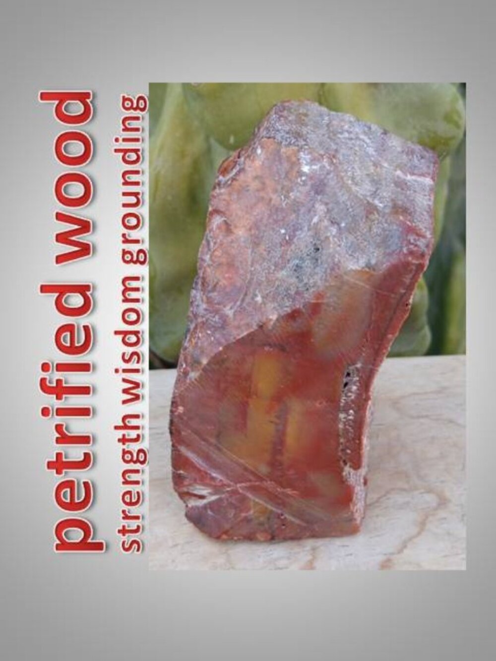 #5 Petrified Wood chunk stone fossil FORTUNE strength CALMNESS